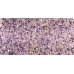 #2713151 Betrayal ( Purple Chunky Glitter ) 1/2 oz. 